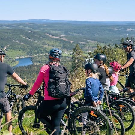 Lyxig Stuga Pa Branaesberget Sysslebäck المظهر الخارجي الصورة