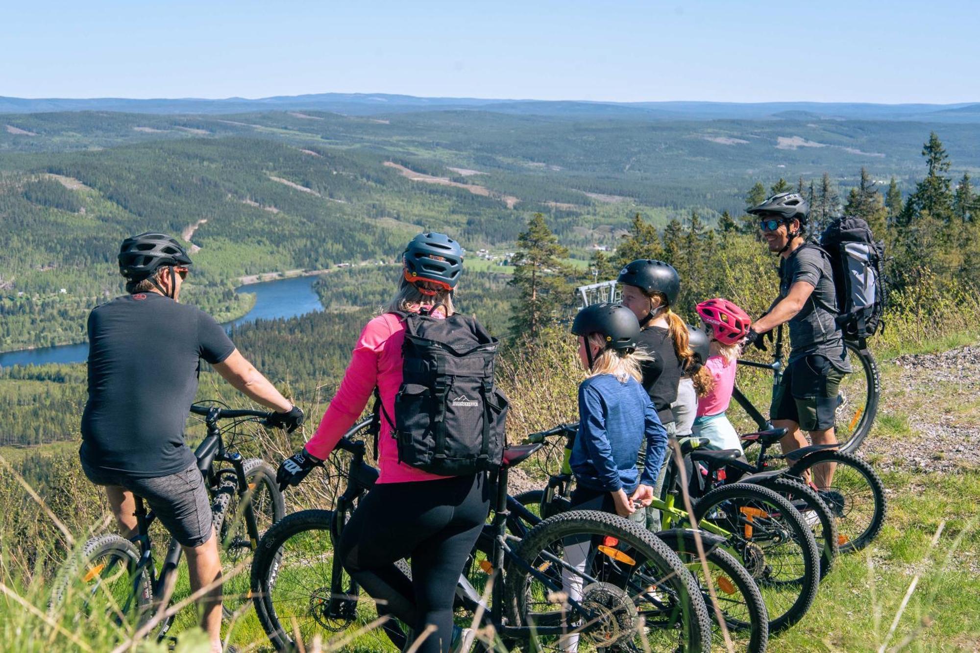 Lyxig Stuga Pa Branaesberget Sysslebäck المظهر الخارجي الصورة